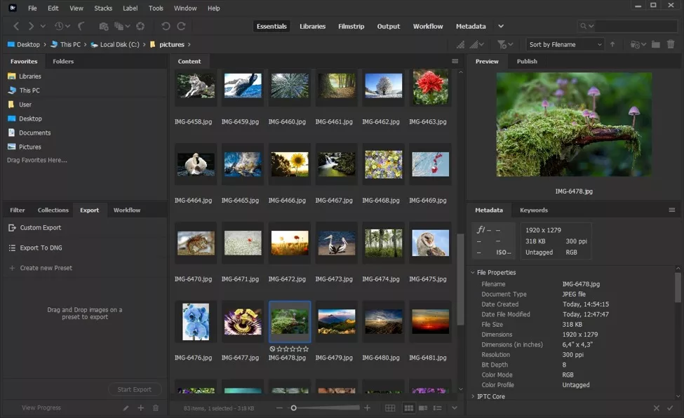 The Best Photo Organizing Software 2025 Top 9 Programs
