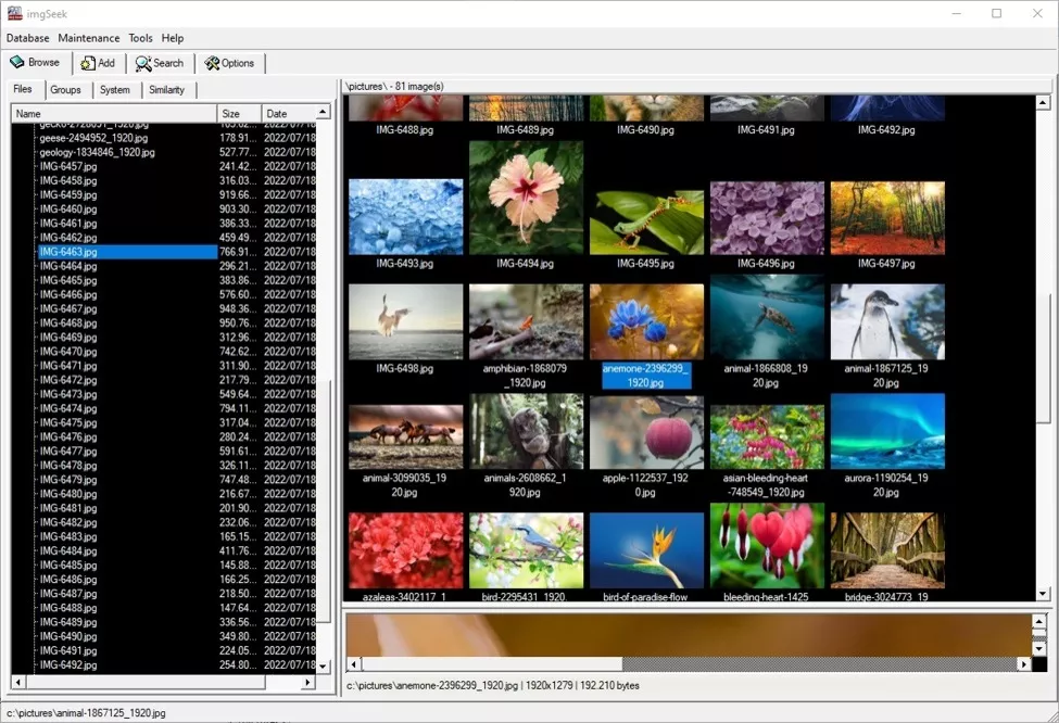 The Best Photo Organizing Software 2025 Top 9 Programs