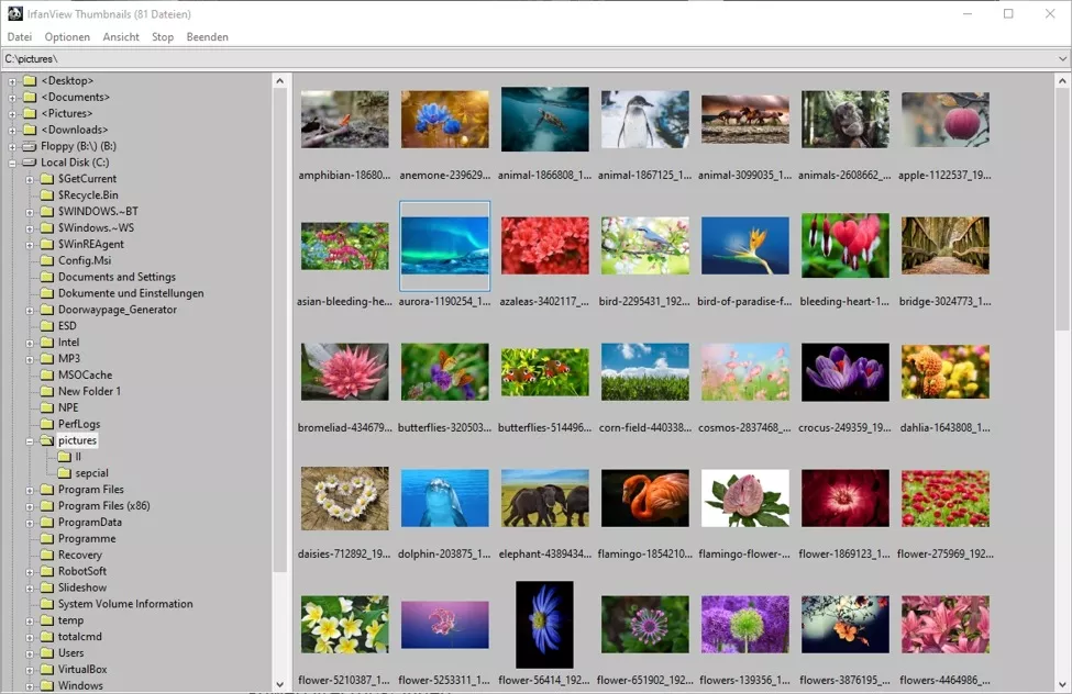 Best Photo Manager Software and Image Viewer