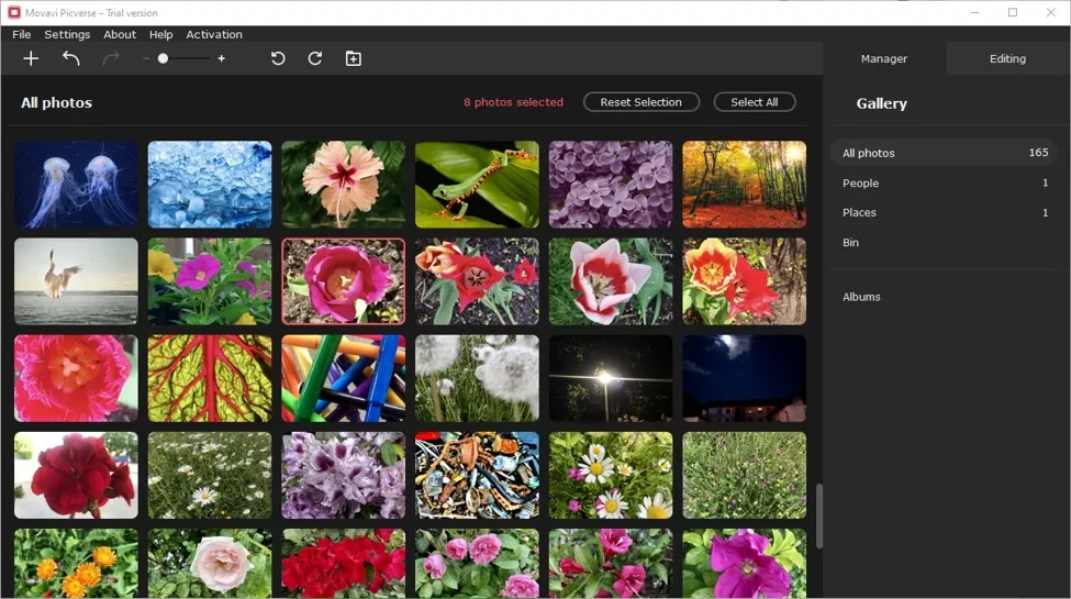 Photo Management Software and Geolocation Tool