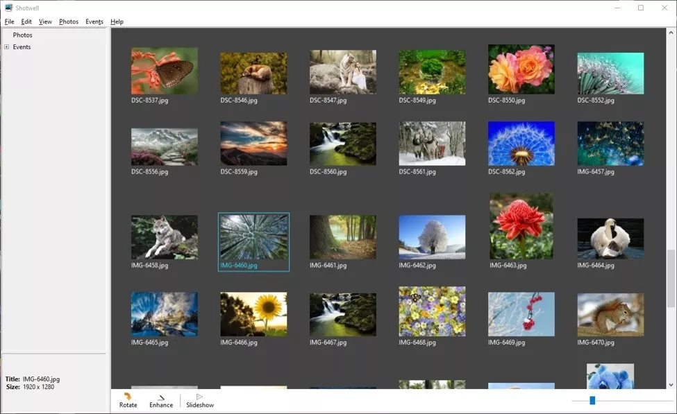 The Best Photo Organizing Software 2025 Top 9 Programs