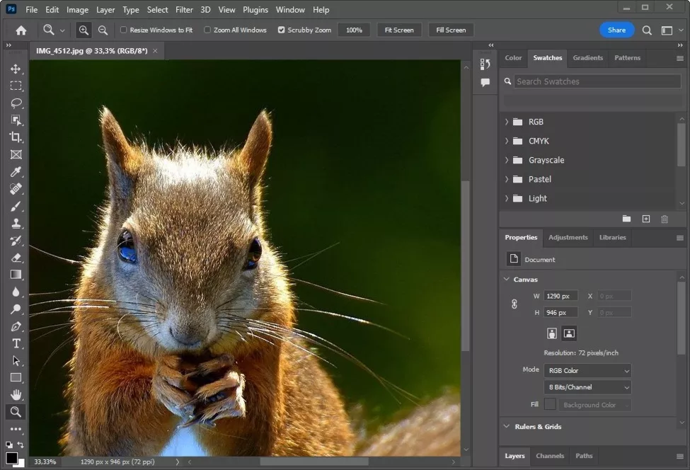 Programa de edição de fotos Adobe Photoshop