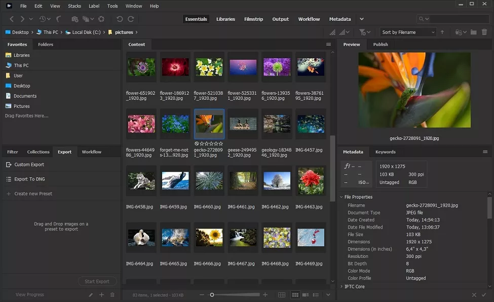 Software de organização profissional de fotos Adobe Bridge