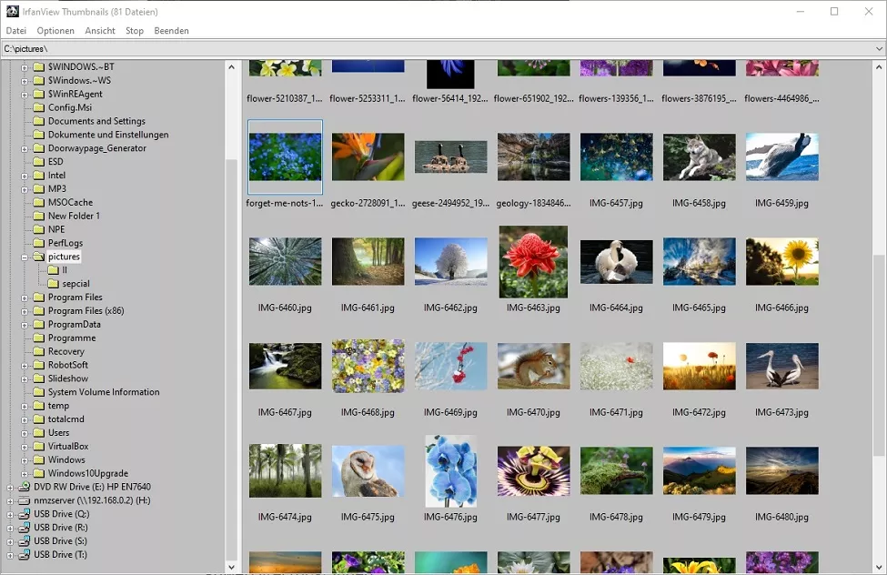 IrfanView - Melhor programa para organizar fotos e visualizador de imagens