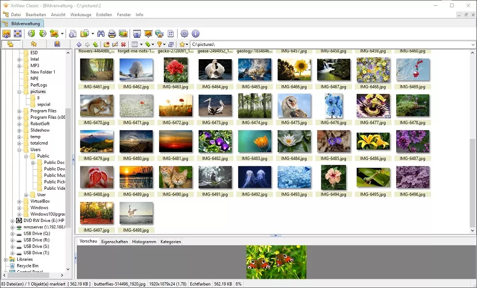 XnView programa organizador de fotos para PC