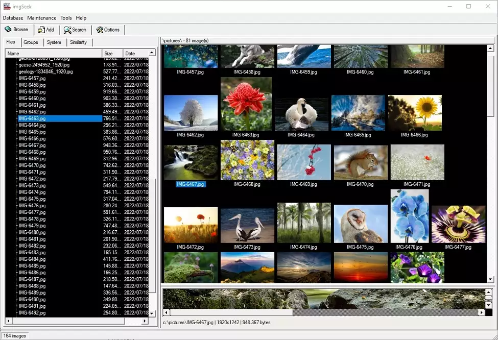 Software zum Bearbeiten von Metadaten für die Fotoverwaltung