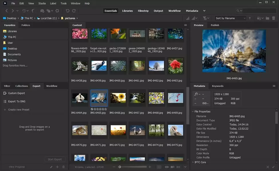 Adobe Bridge software profesional de organización de fotos