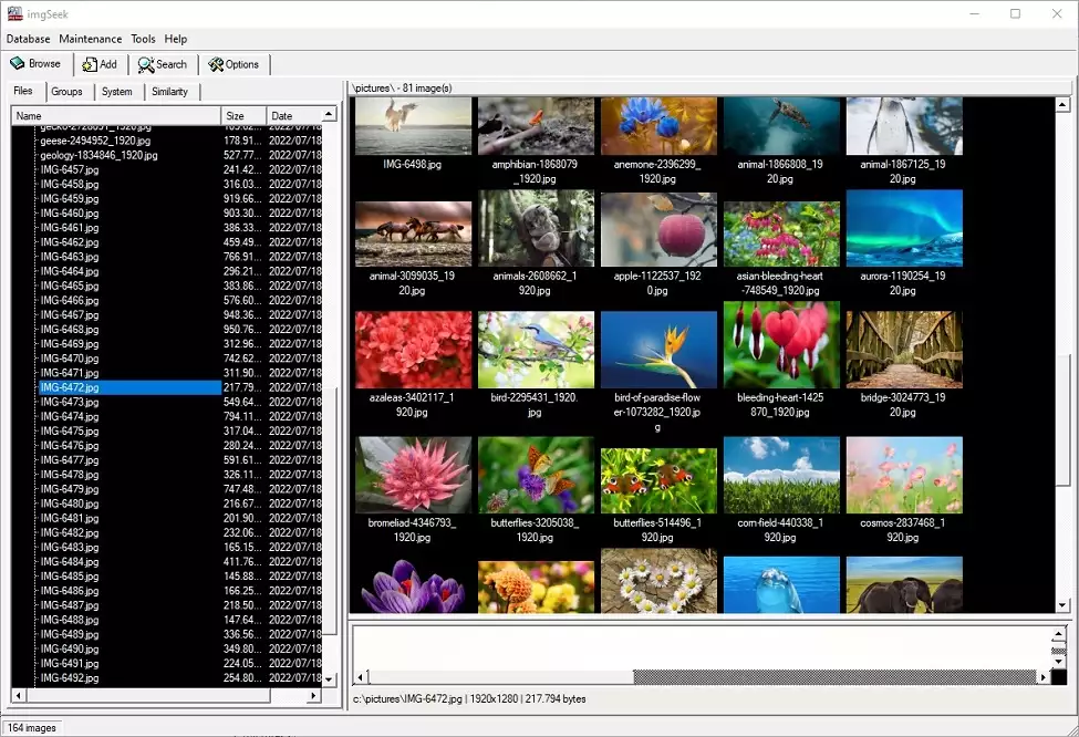 Editar metadatos con este software de organización de fotos - imgSeek