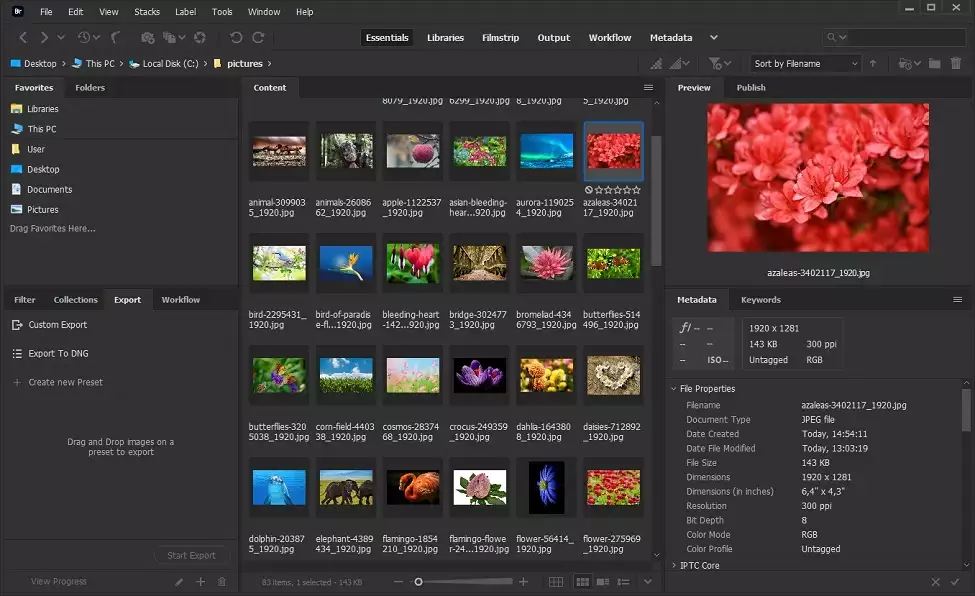 Adobe Bridge logiciel professionnel d'organisation de photos