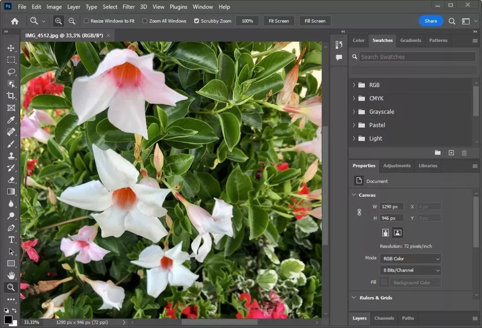 Editor di foto Adobe Photoshop