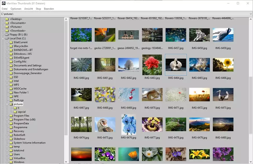 Miglior programma per catalogare foto e visualizzatore di immagini - IrfanView