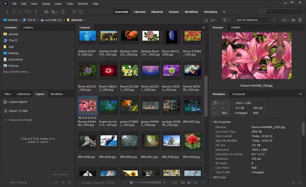 Professionele foto-organizing software Adobe Bridge