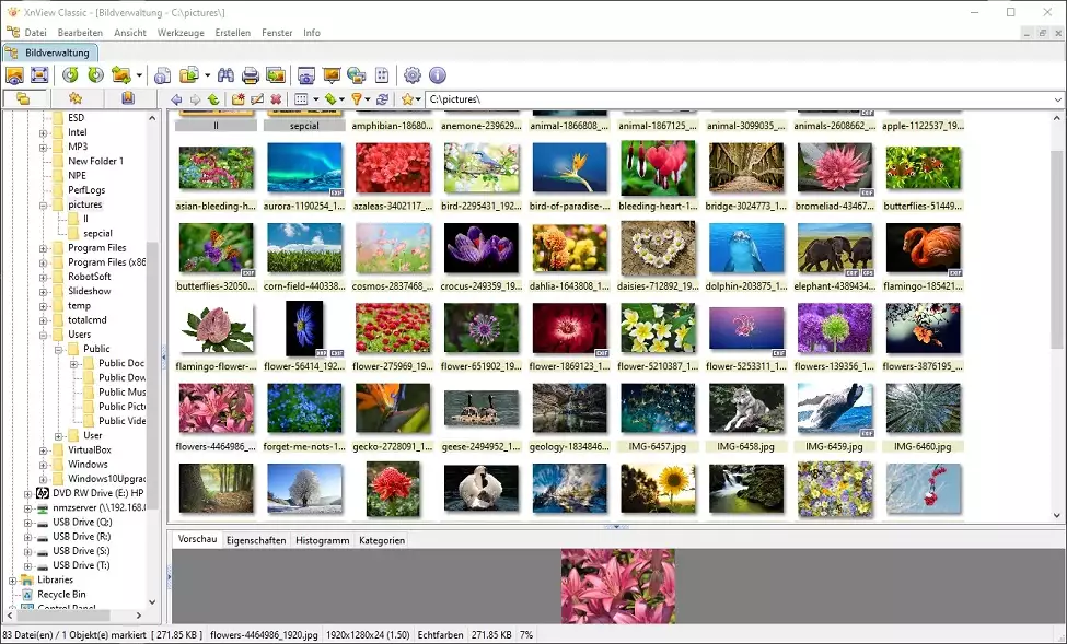 Foto's ordenen software voor PC - XnView