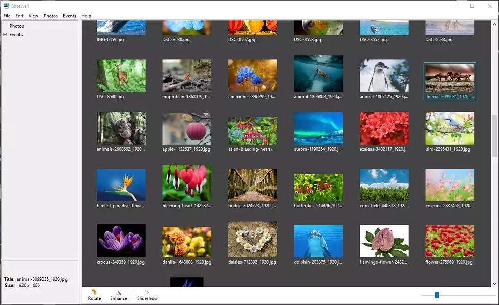 Shotwell -Program do organizowania zdjęć na PC