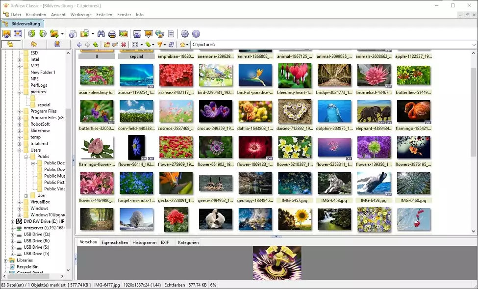 XnView program do katalogowania zdjęć na PC